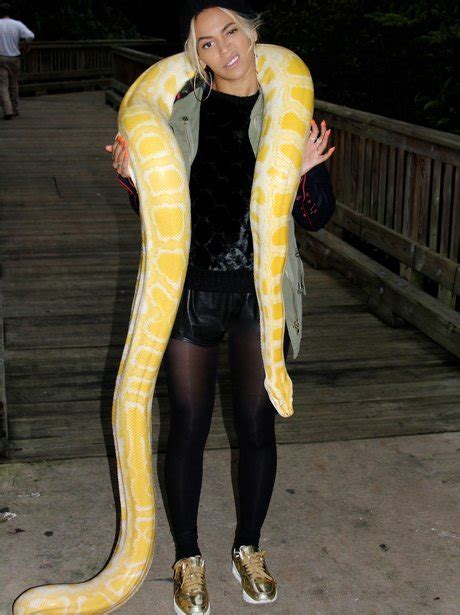 beyonce's snake